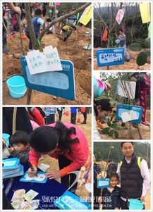 碧桂園植樹節 佩悅傳媒以專業公關策劃，賦能綠色品牌行動